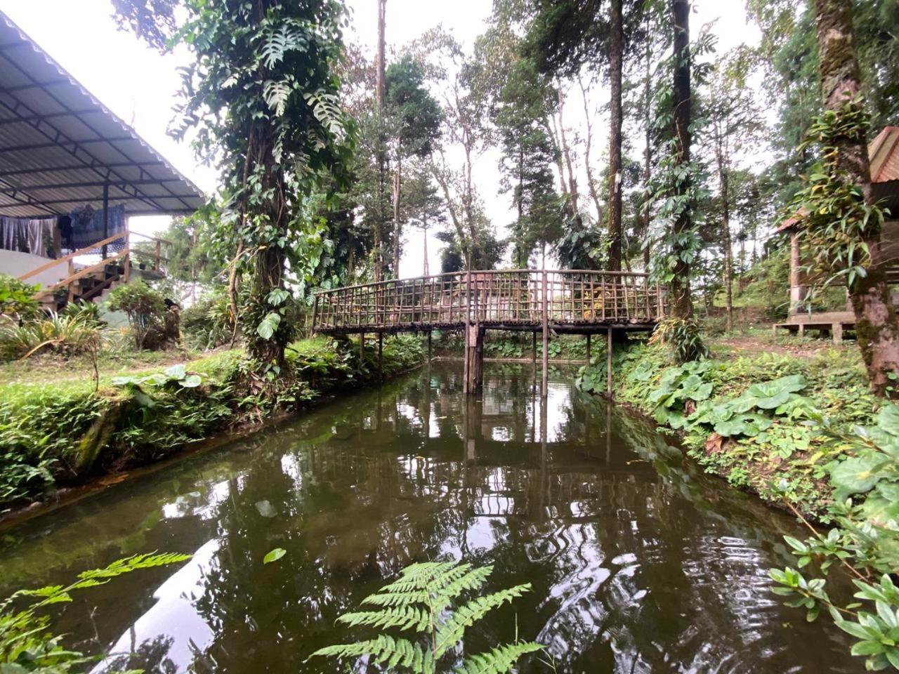 Magnolia Farmhouse And Homestay Darjeeling  Extérieur photo