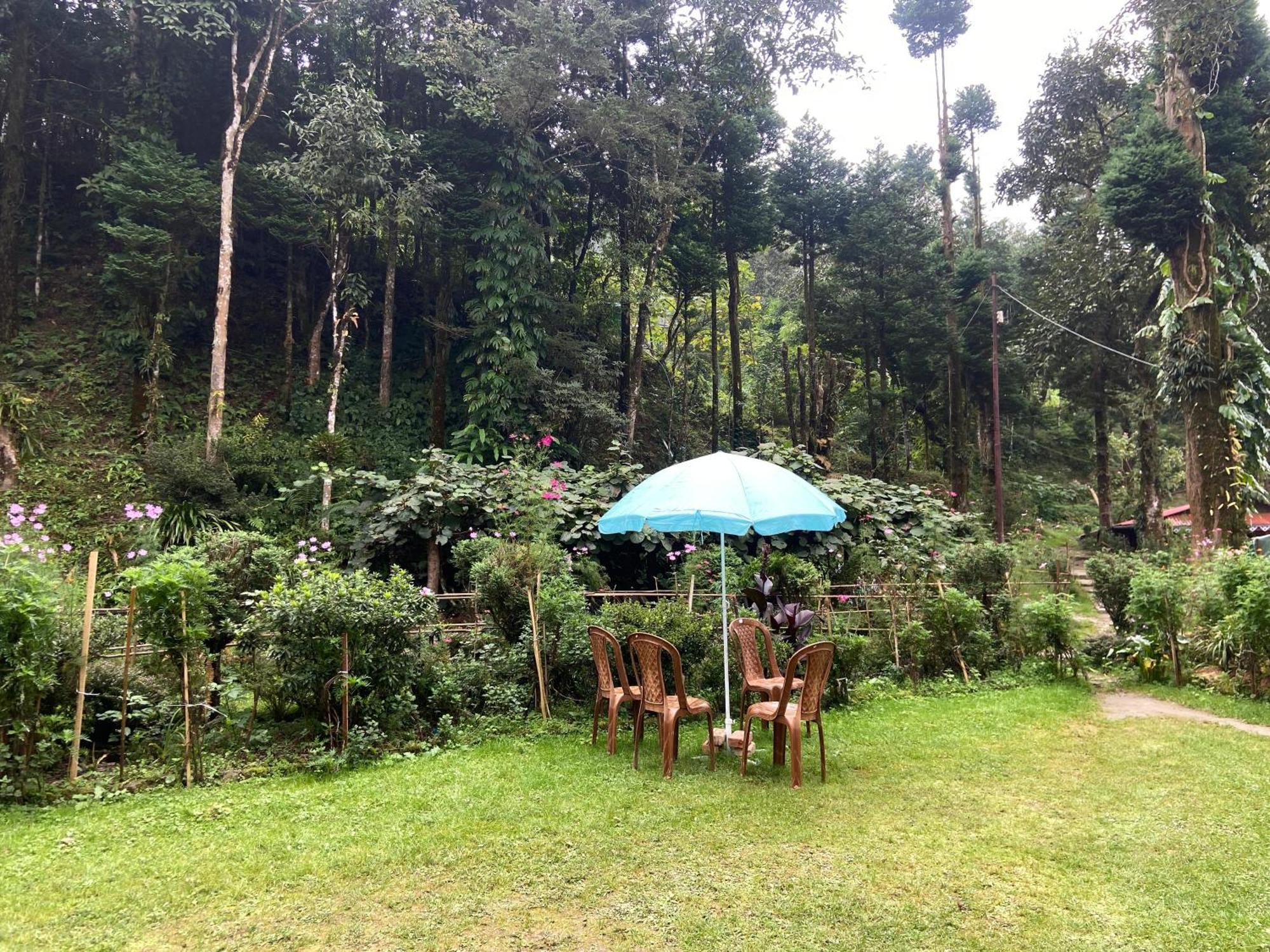 Magnolia Farmhouse And Homestay Darjeeling  Extérieur photo